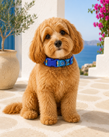 Greek Mati Pet Collar