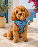 Comfort Greek Mati Pet Harness