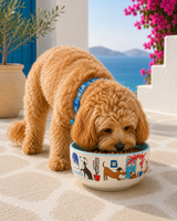 Ceramic Dog Bowl - Donkey